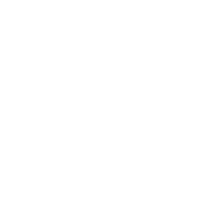 icono-nuestro-negocio
